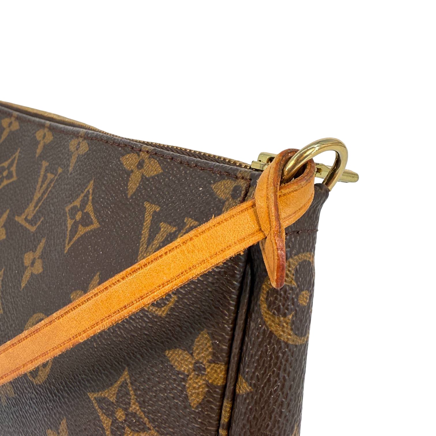 Louis Vuitton Pochette Accessoires Braun Monogram Canvas