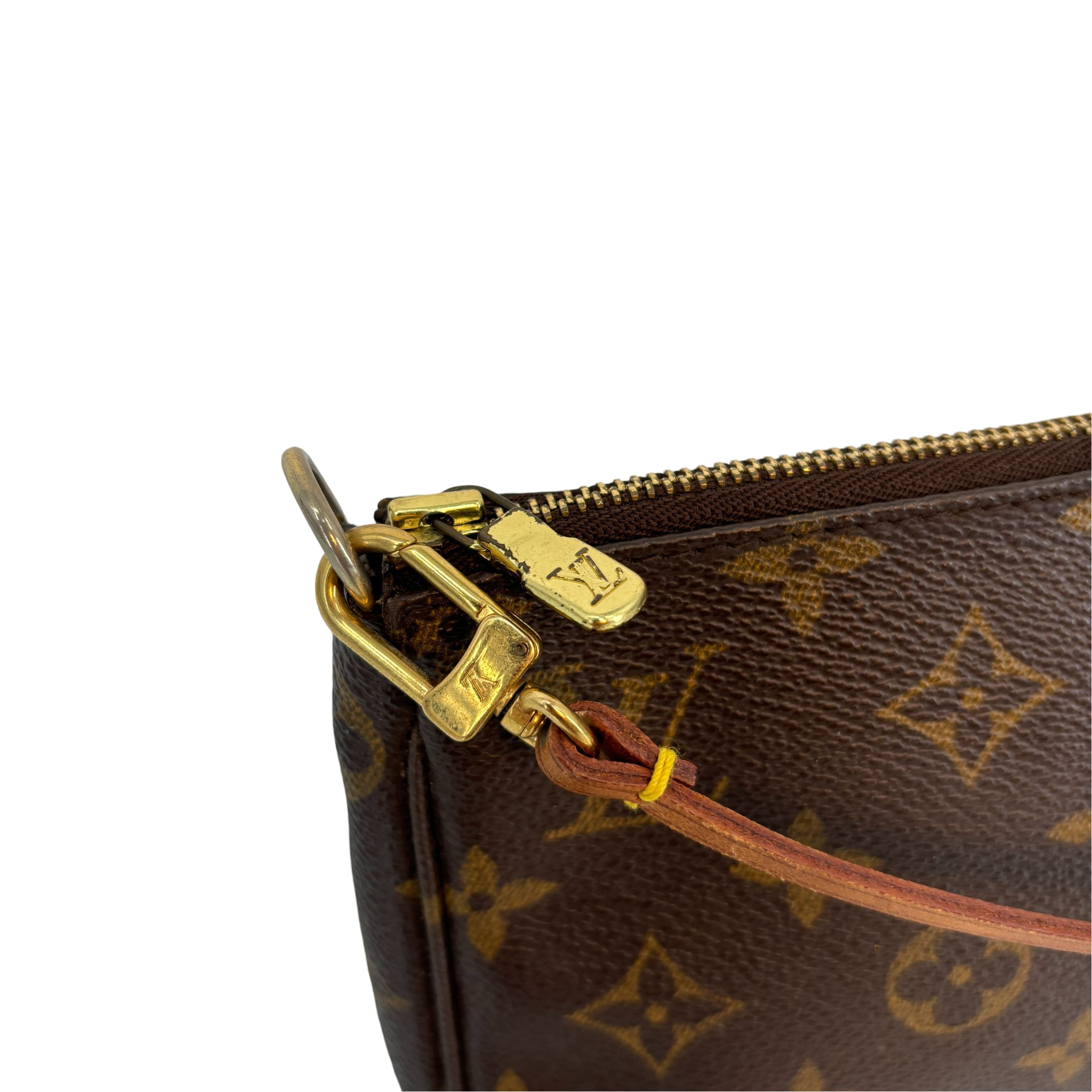 Louis Vuitton Pochette Accessoires Monogram Canvas