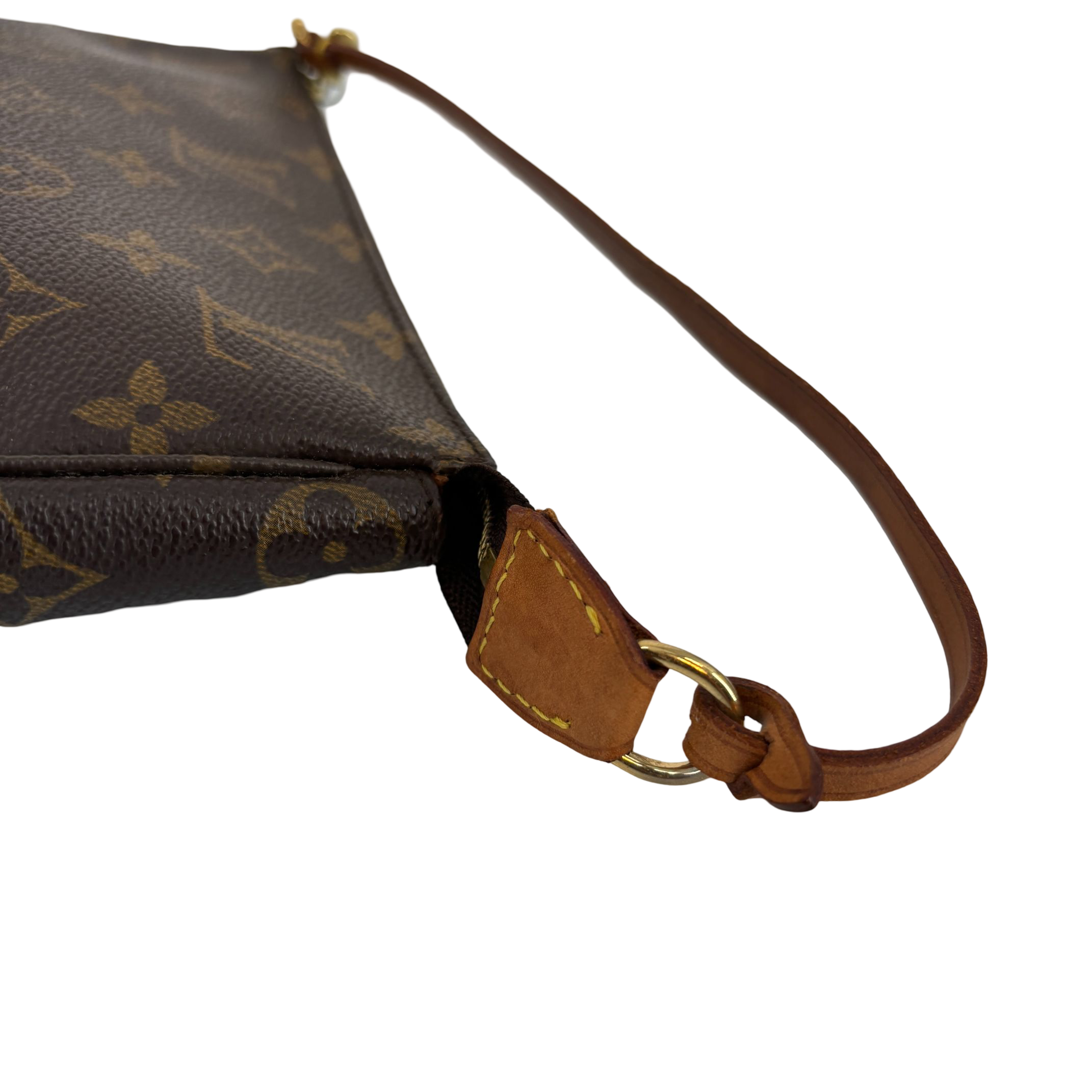 Louis Vuitton Pochette Accessoires Monogram Canvas