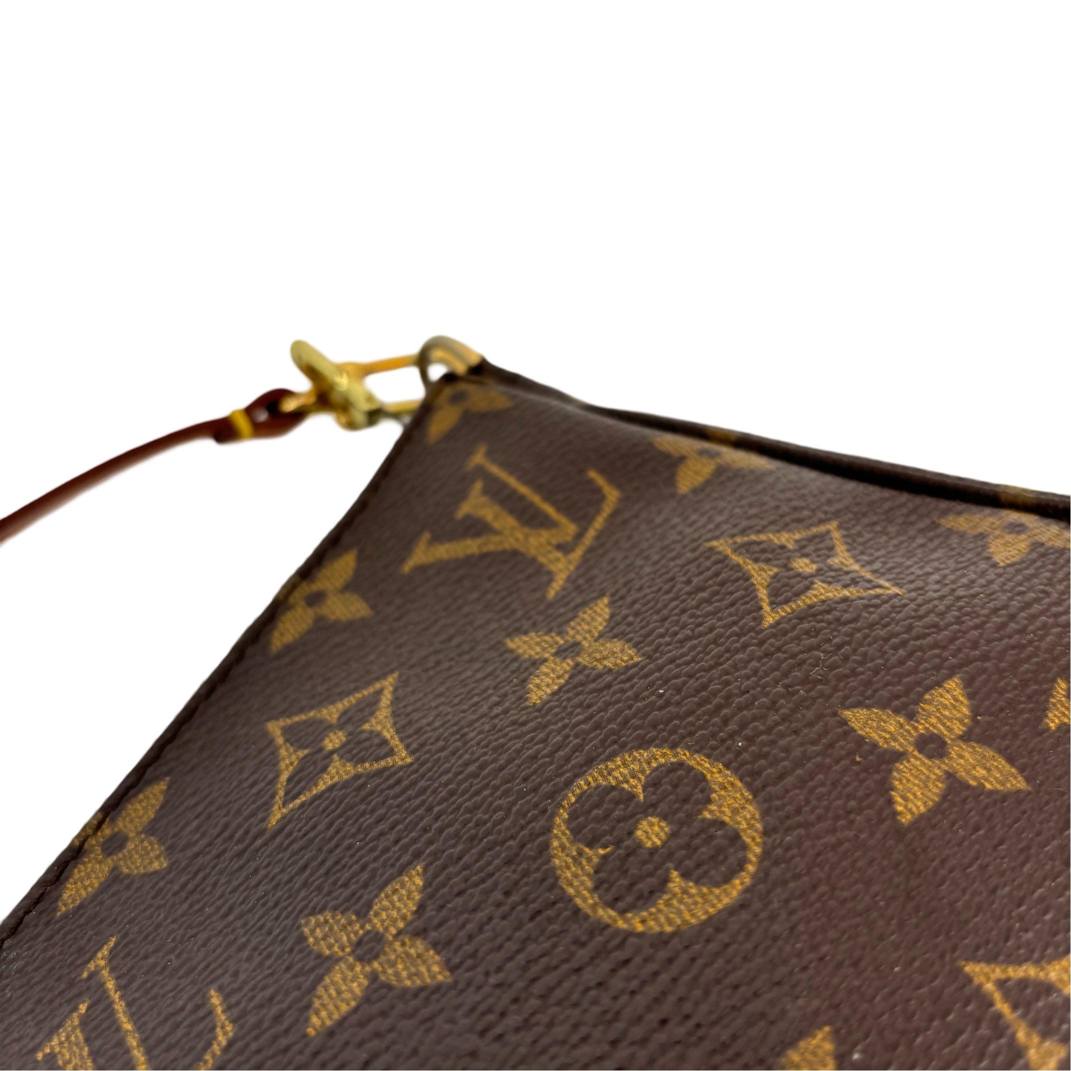 Louis Vuitton Pochette Accessoires Monogram Canvas