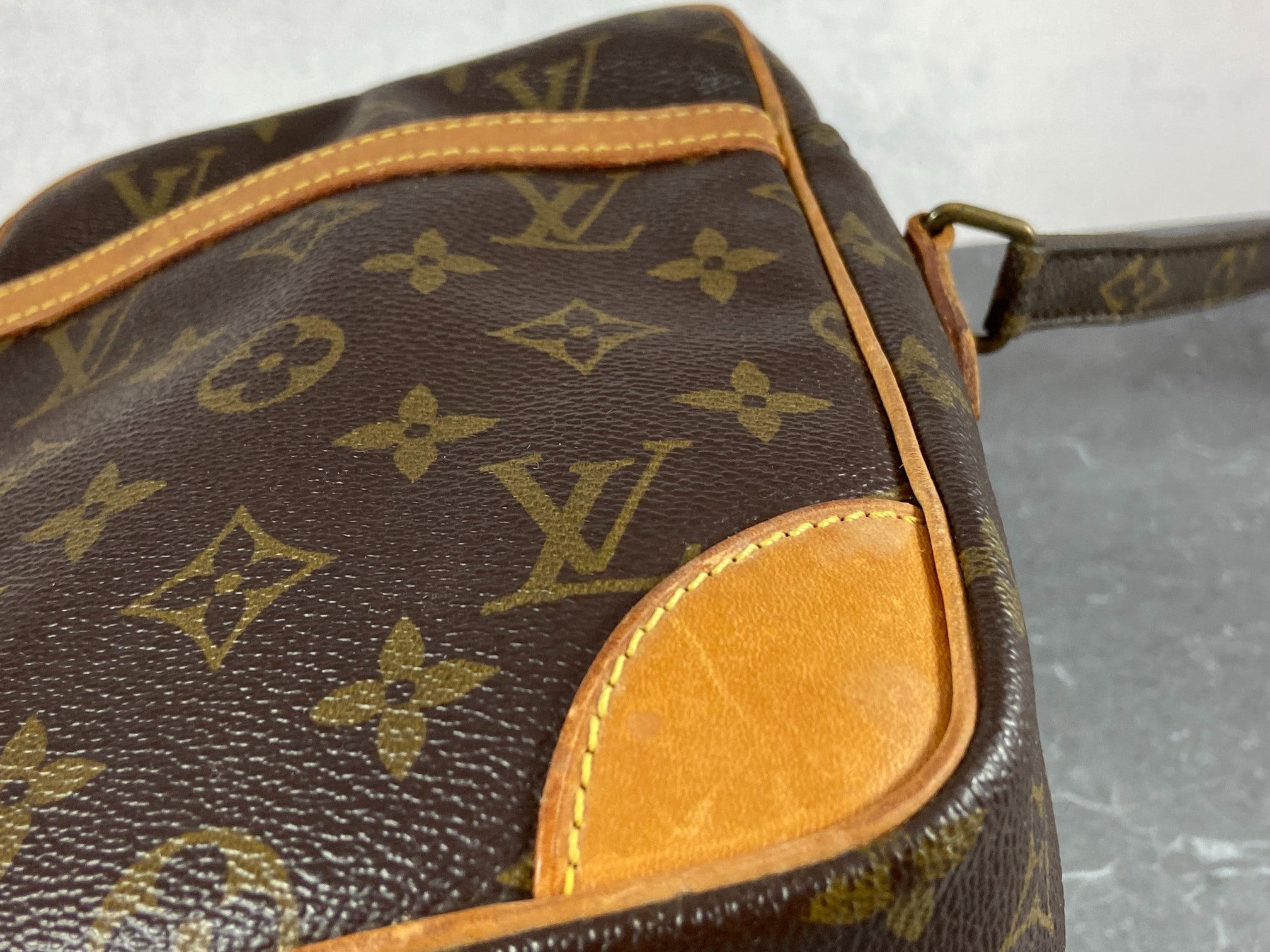 Louis Vuitton Danube PM Monogram Canvas