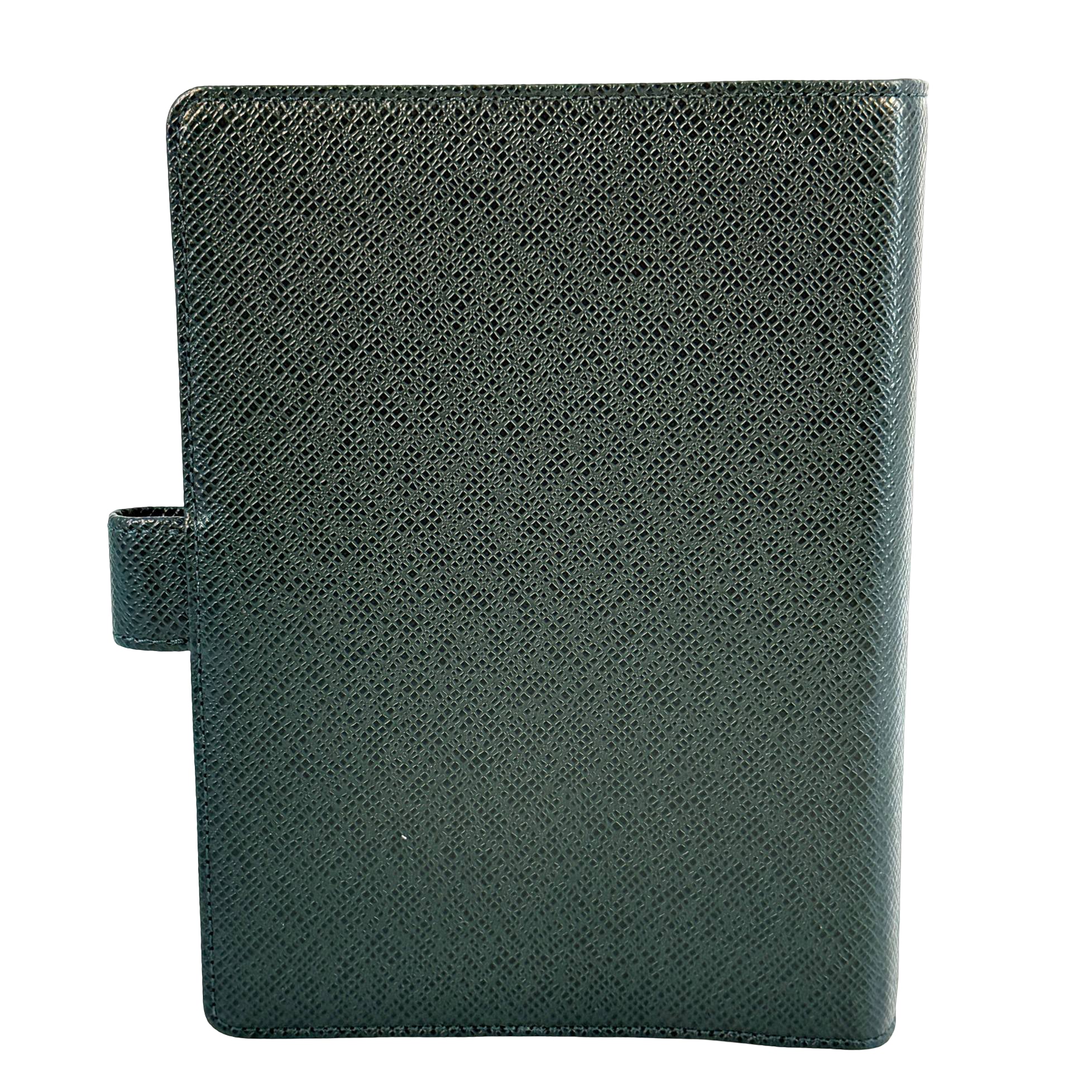 Louis Vuitton Agenda MM Grün Taiga Leder