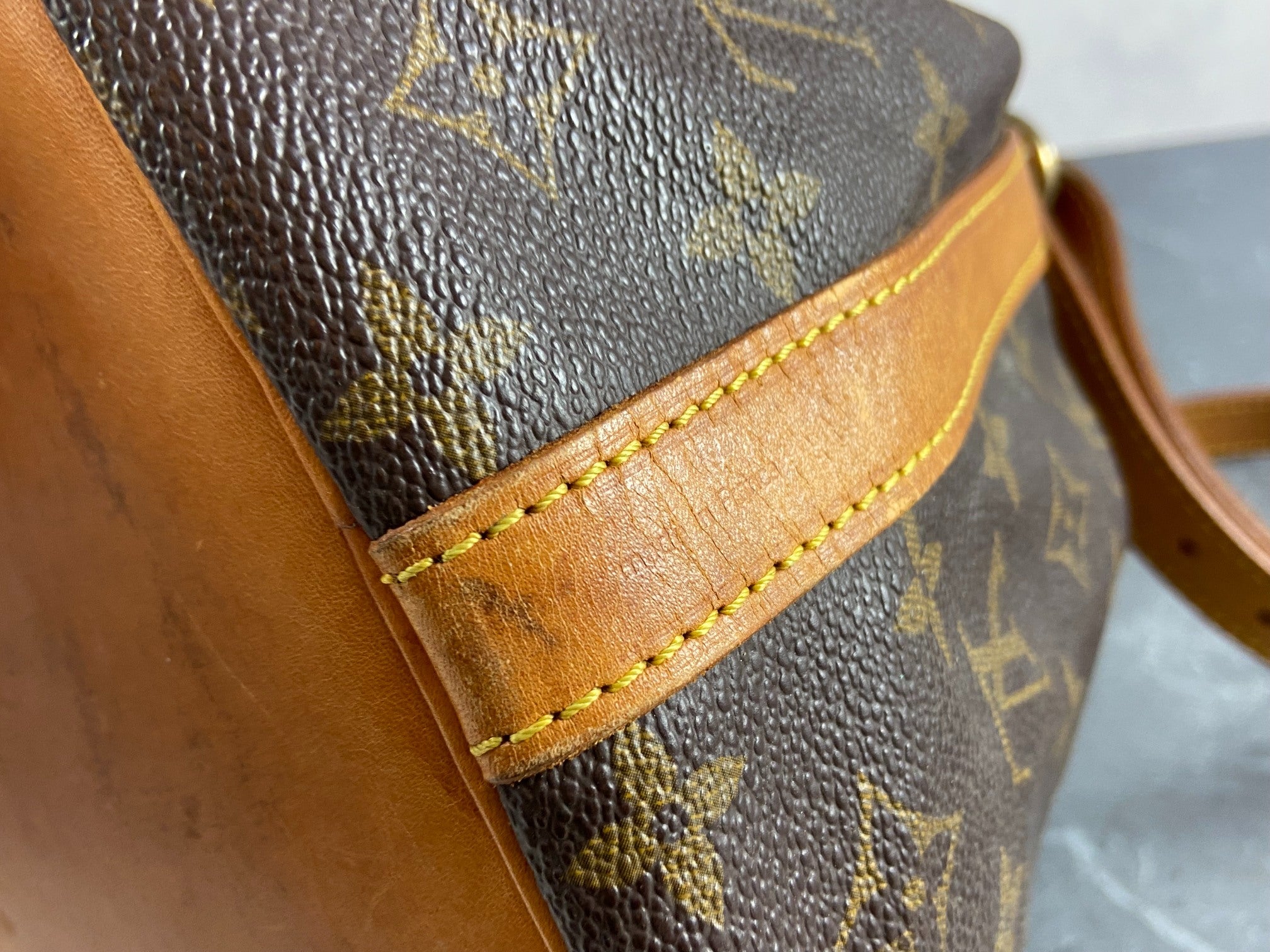 Louis Vuitton Sac Noé Petit Monogram Canvas