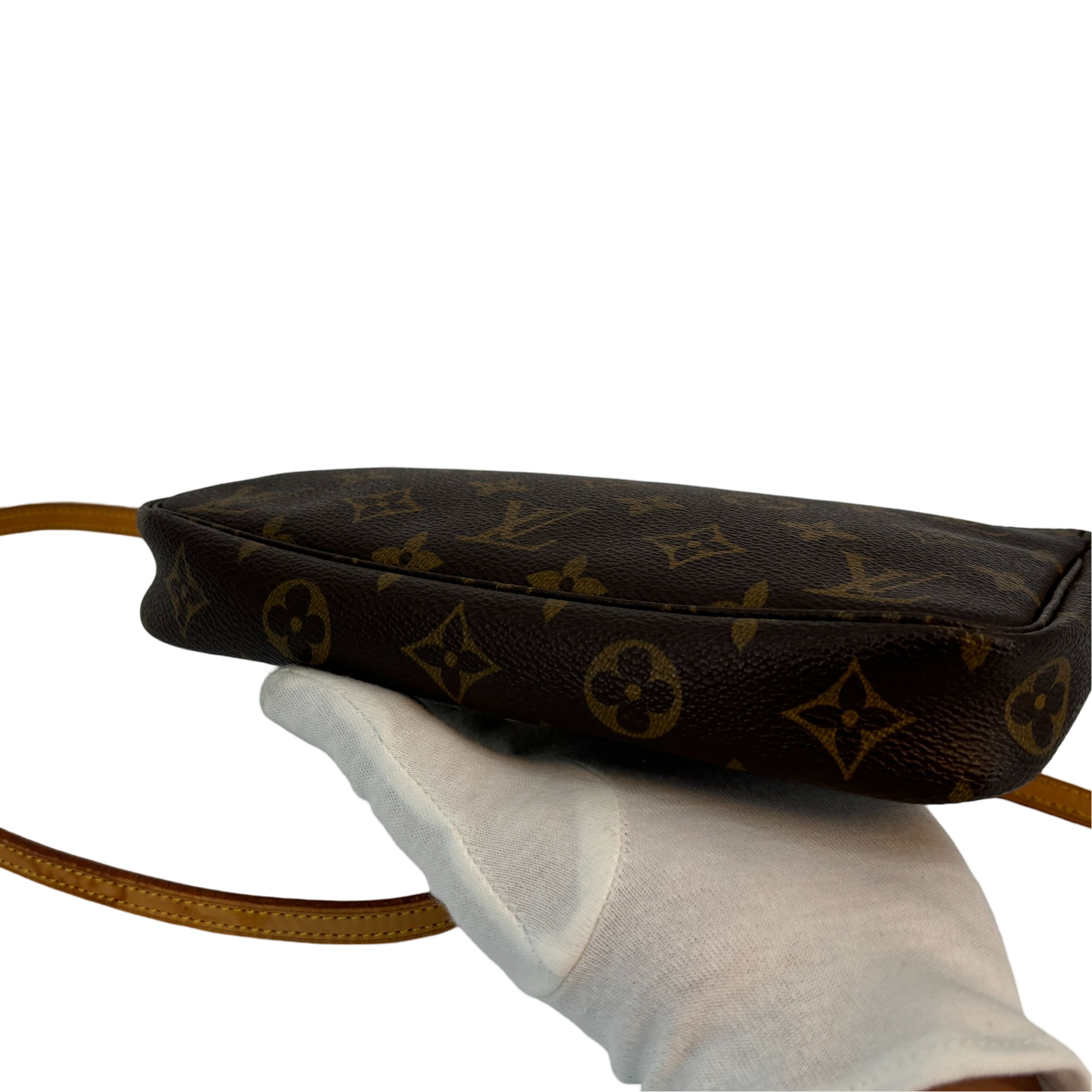 Louis Vuitton Pochette Accessoires Monogram Canvas