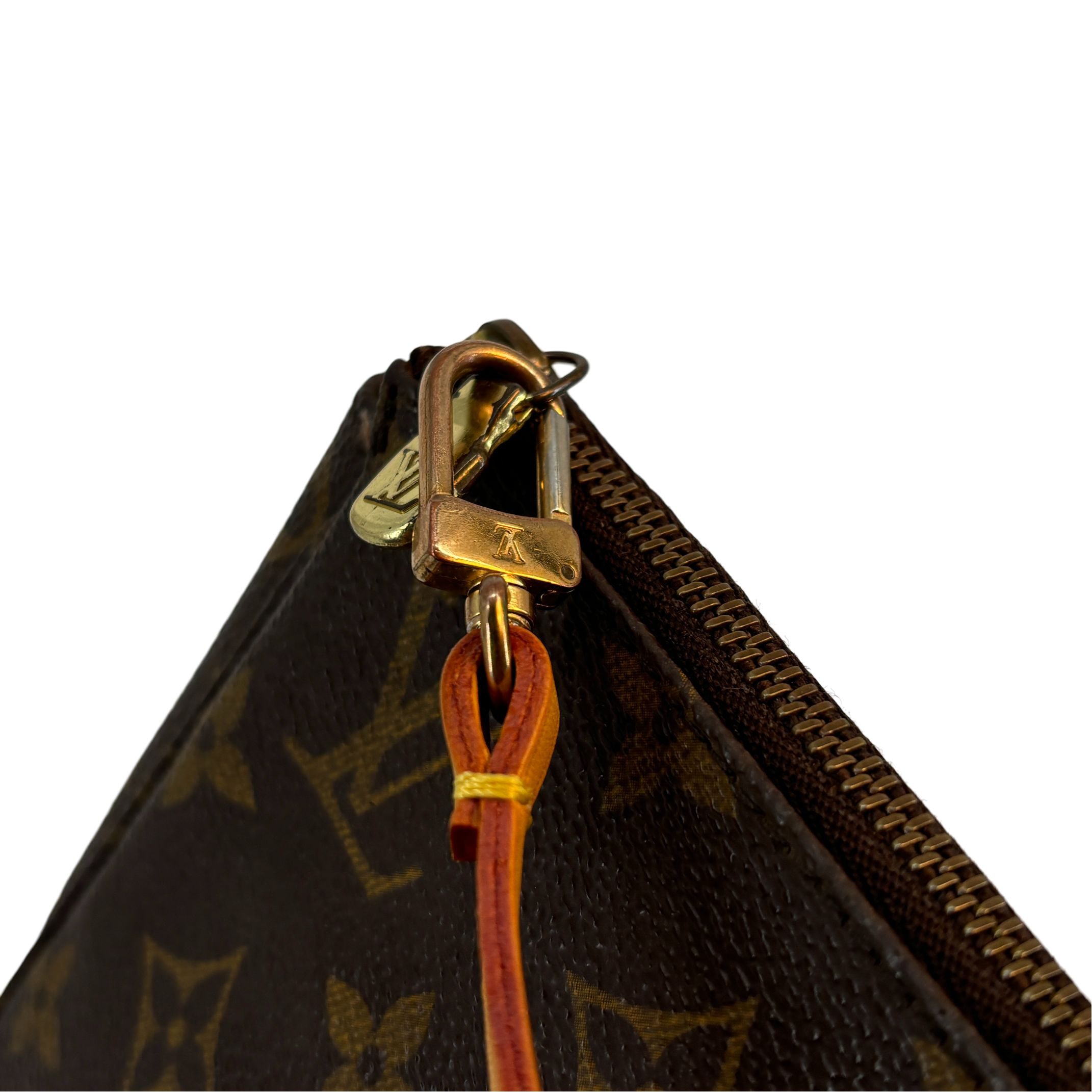 Louis Vuitton Pochette Accessoires Monogram Canvas