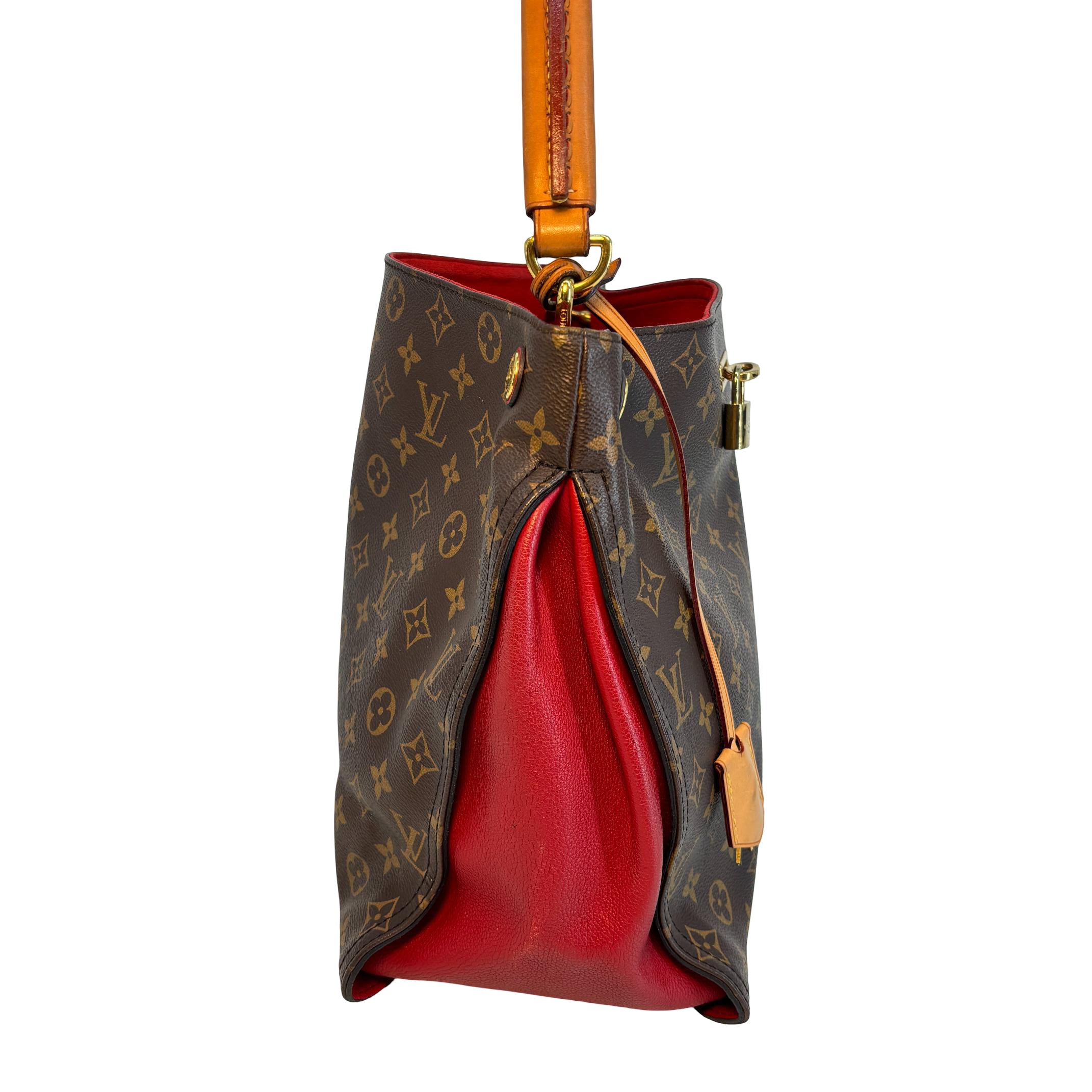 Louis Vuitton Gaia Hobo Bag Monogram Canvas