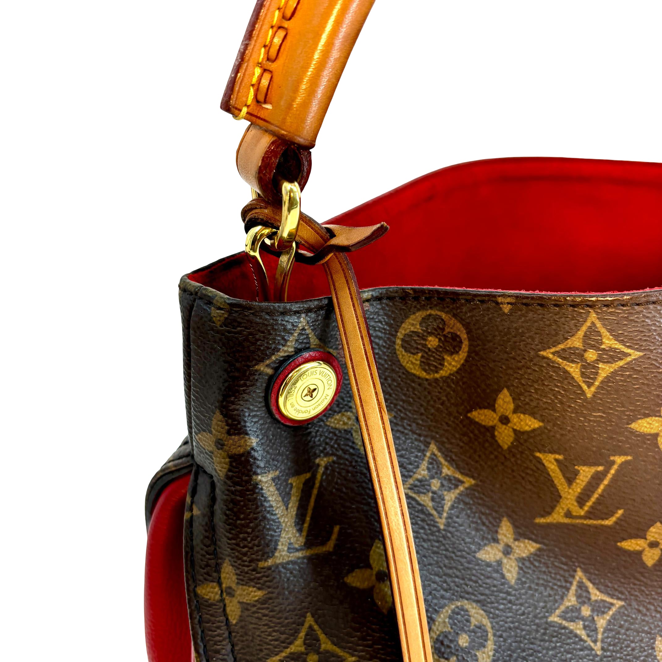 Louis Vuitton Gaia Hobo Bag Monogram Canvas