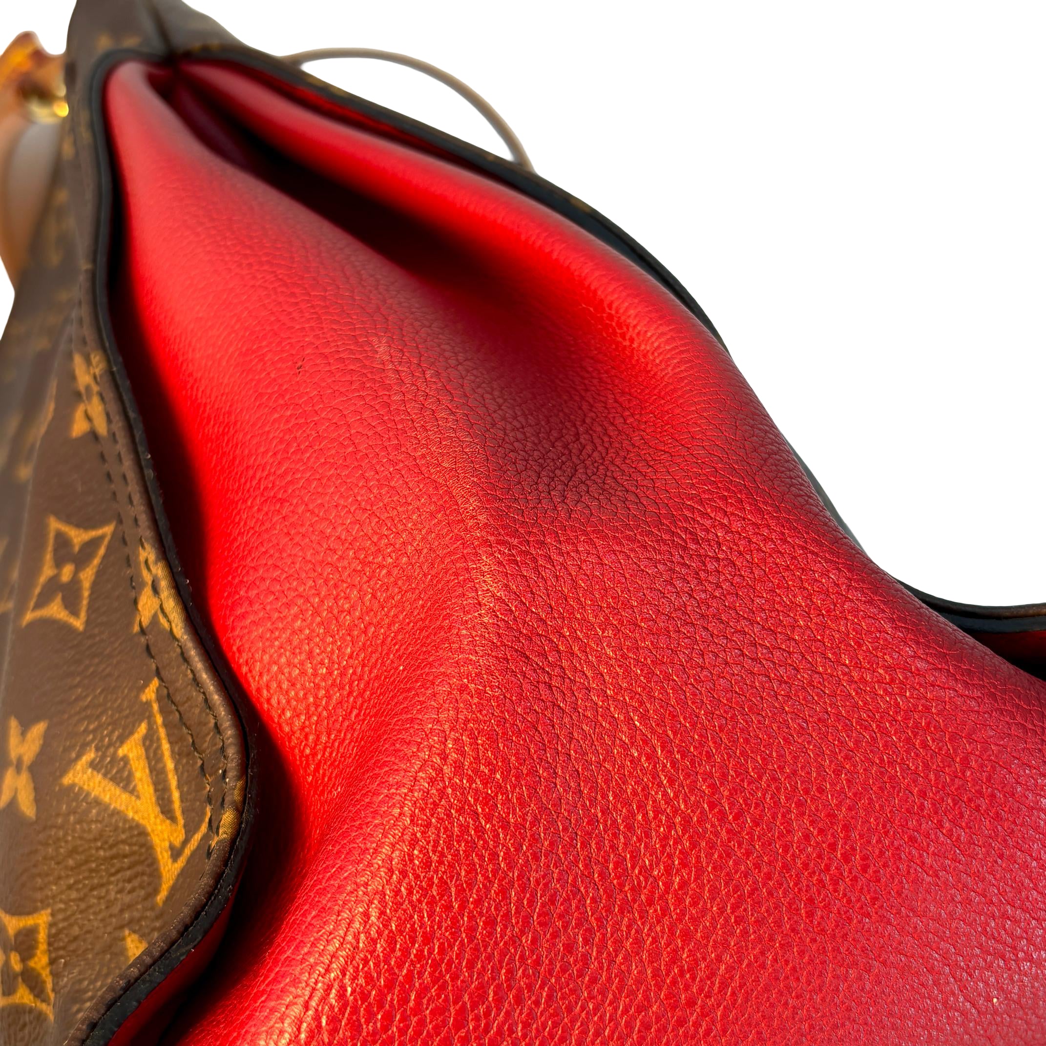 Louis Vuitton Gaia Hobo Bag Monogram Canvas