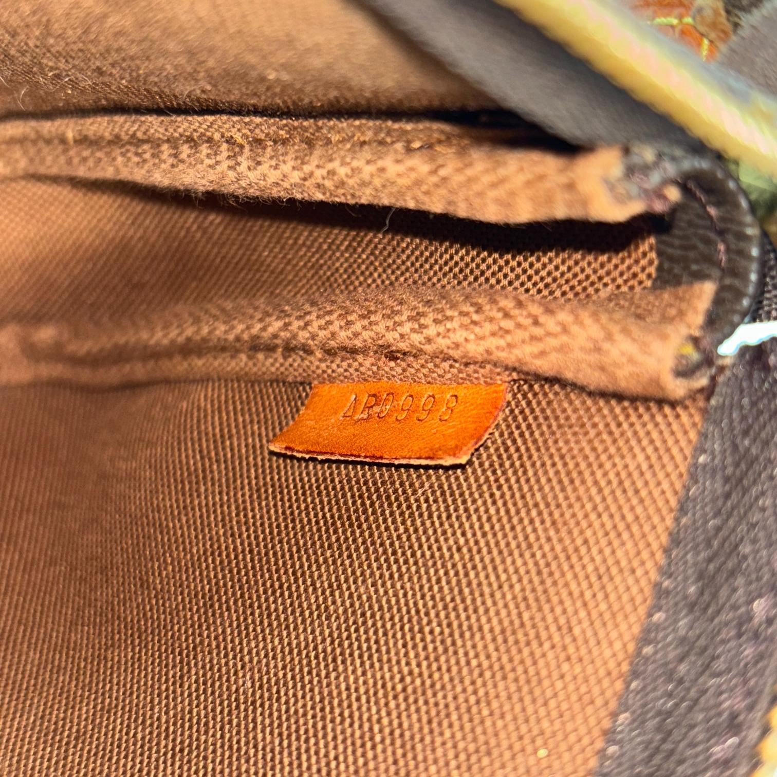 Louis Vuitton Pochette Accessoires Monogram Canvas