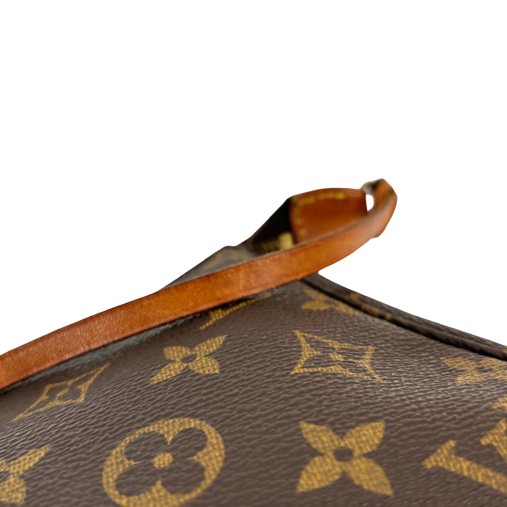 Louis Vuitton Pochette Accessoires Monogram Canvas