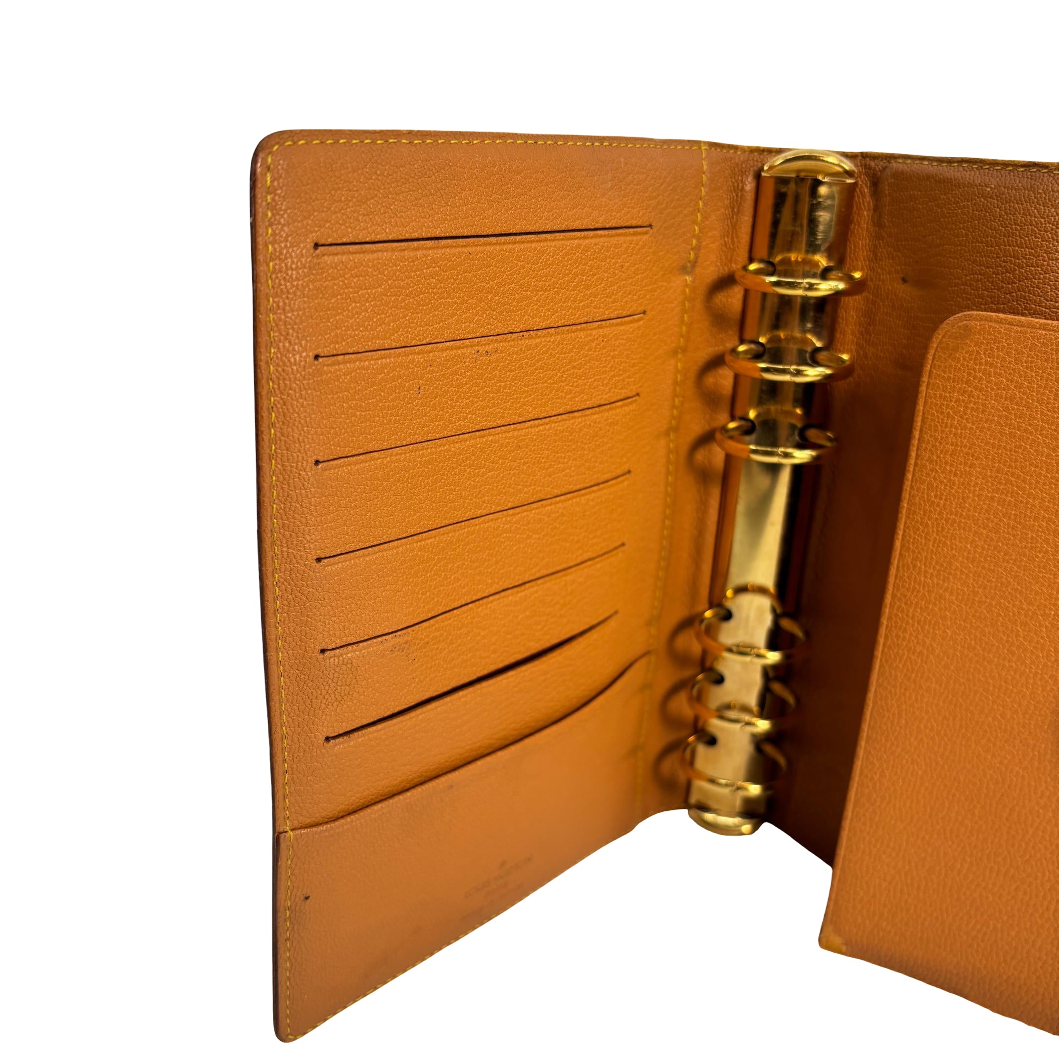 Louis Vuitton Agenda Fonctionnel MM Nomade Leather