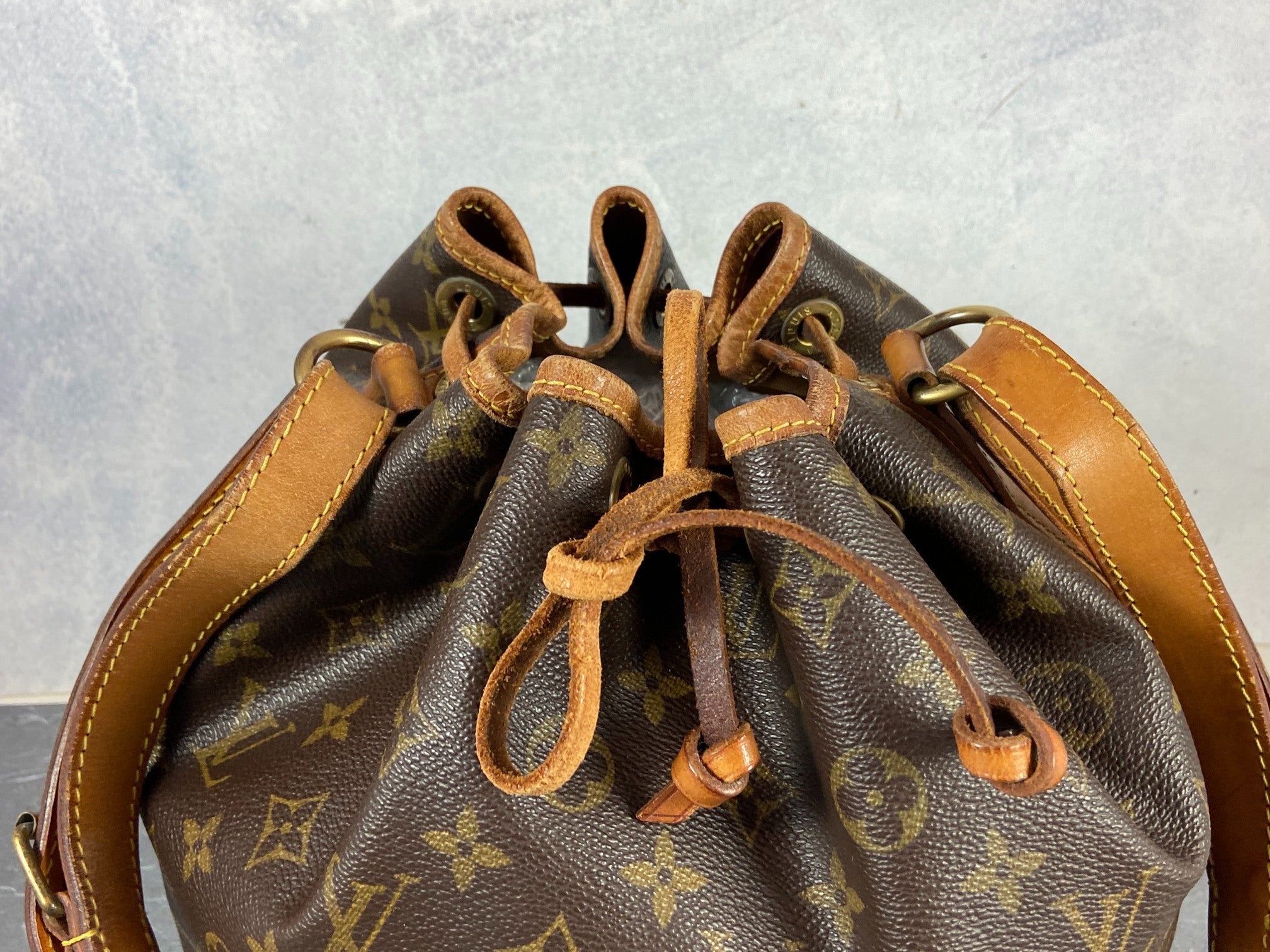 Louis Vuitton Sac Noé Petit Monogram Canvas