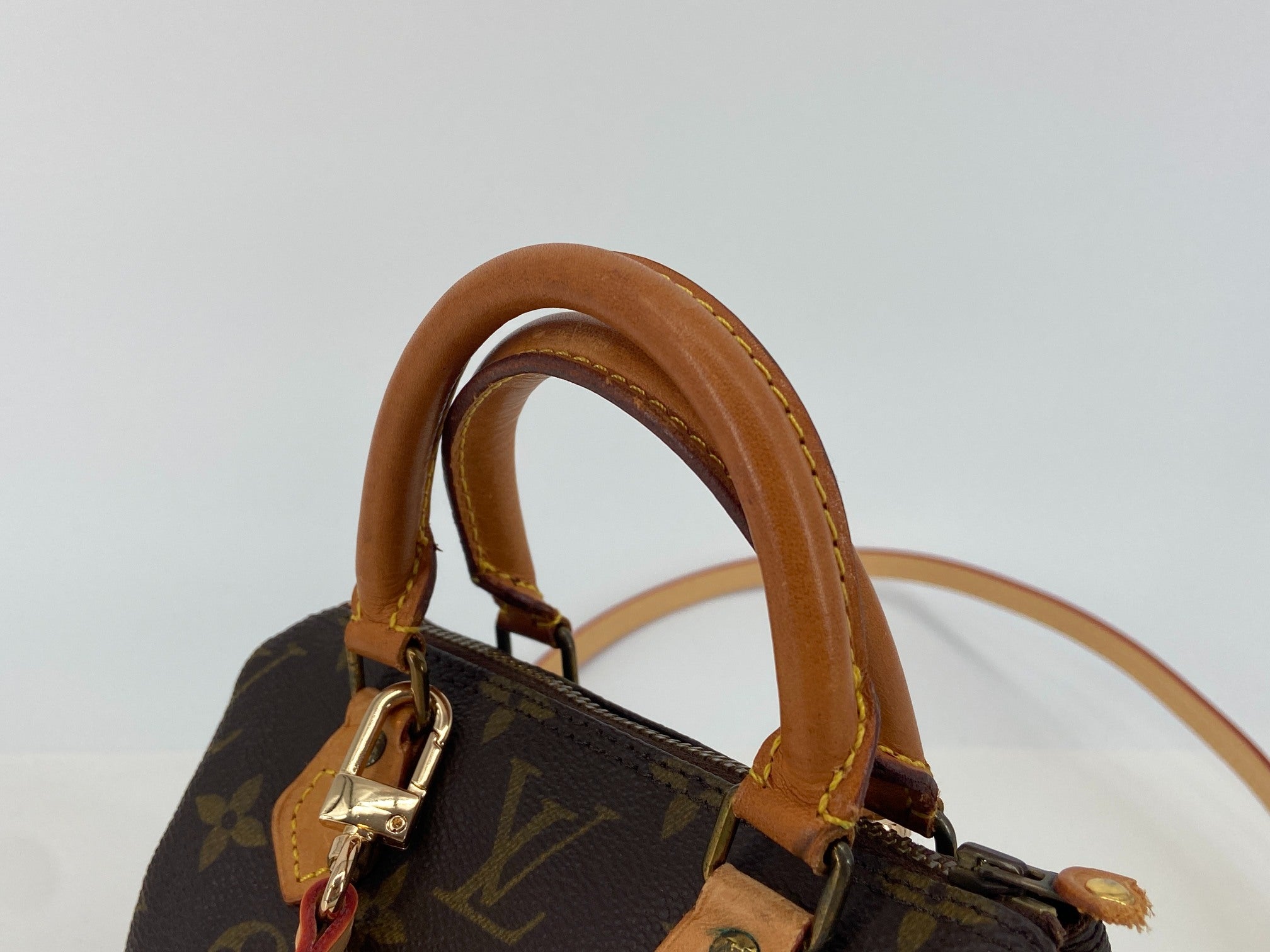 Louis Vuitton Mini Speedy Crossbody Bag Monogram Canvas