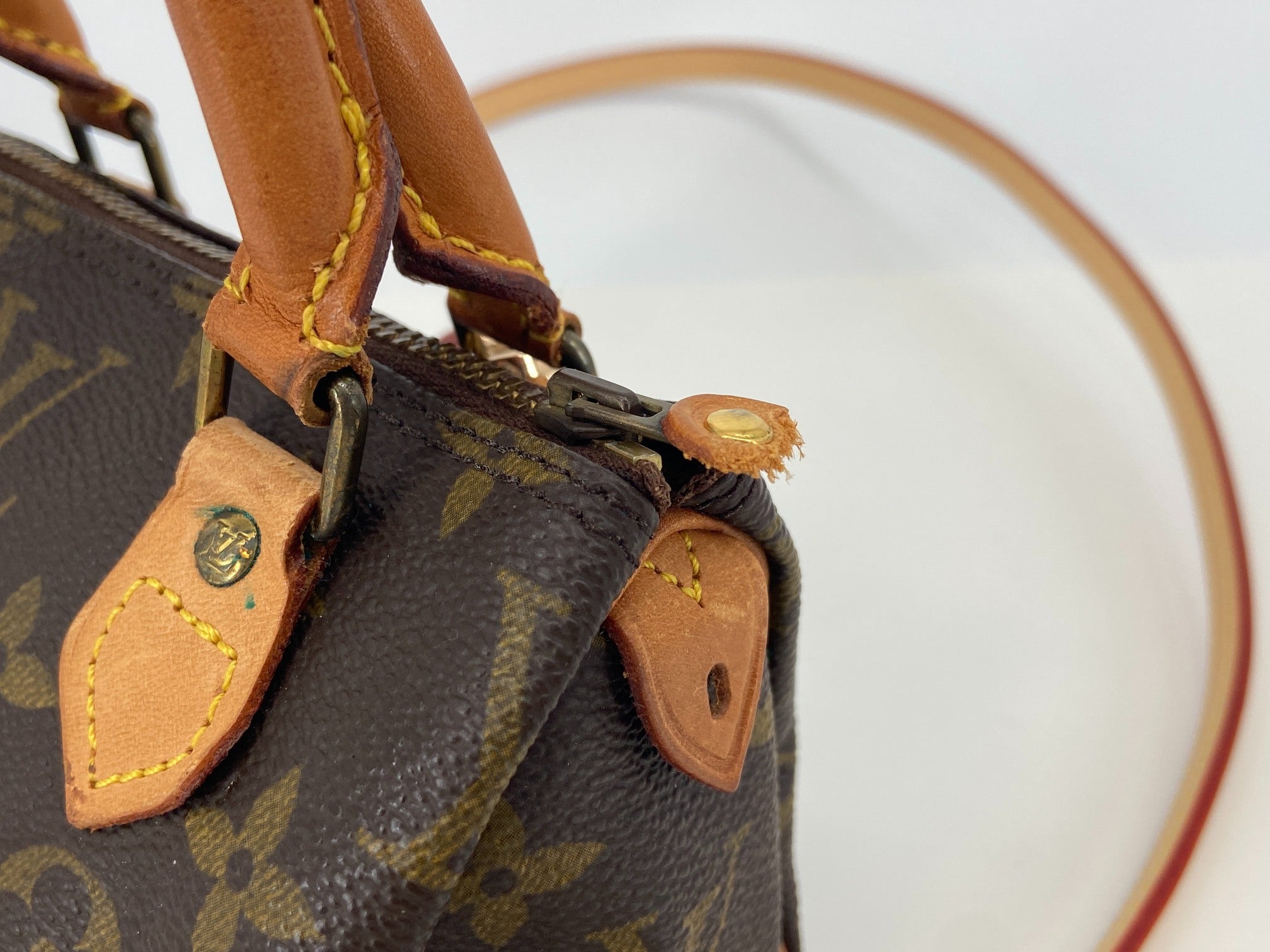 Louis Vuitton Mini Speedy Crossbody Bag Monogram Canvas