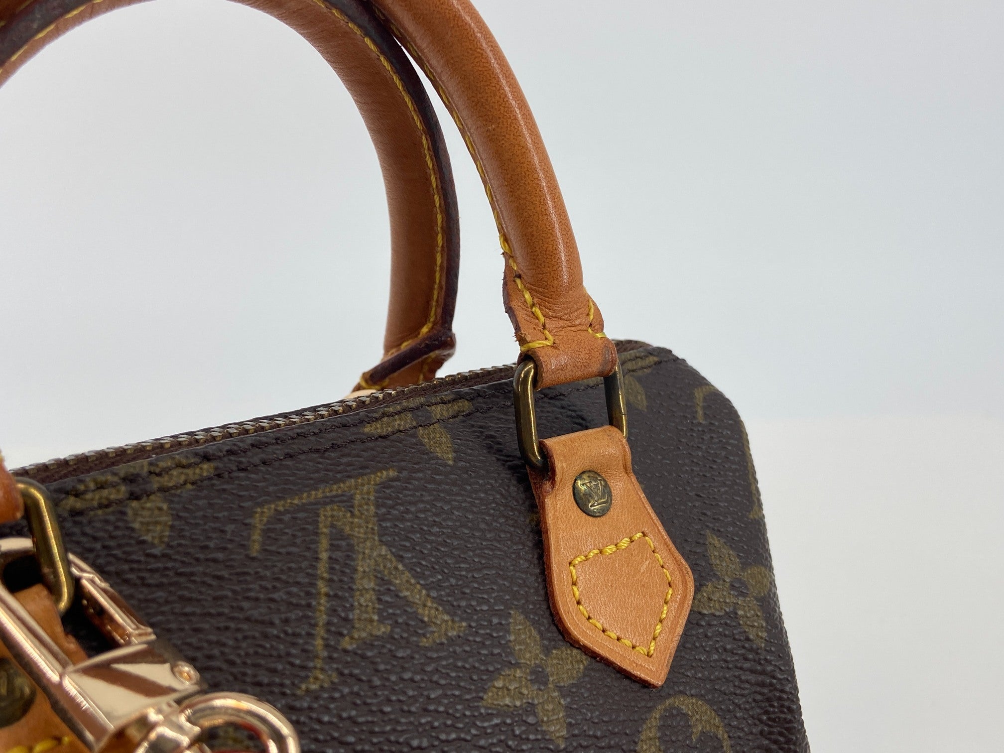 Louis Vuitton Mini Speedy Crossbody Bag Monogram Canvas