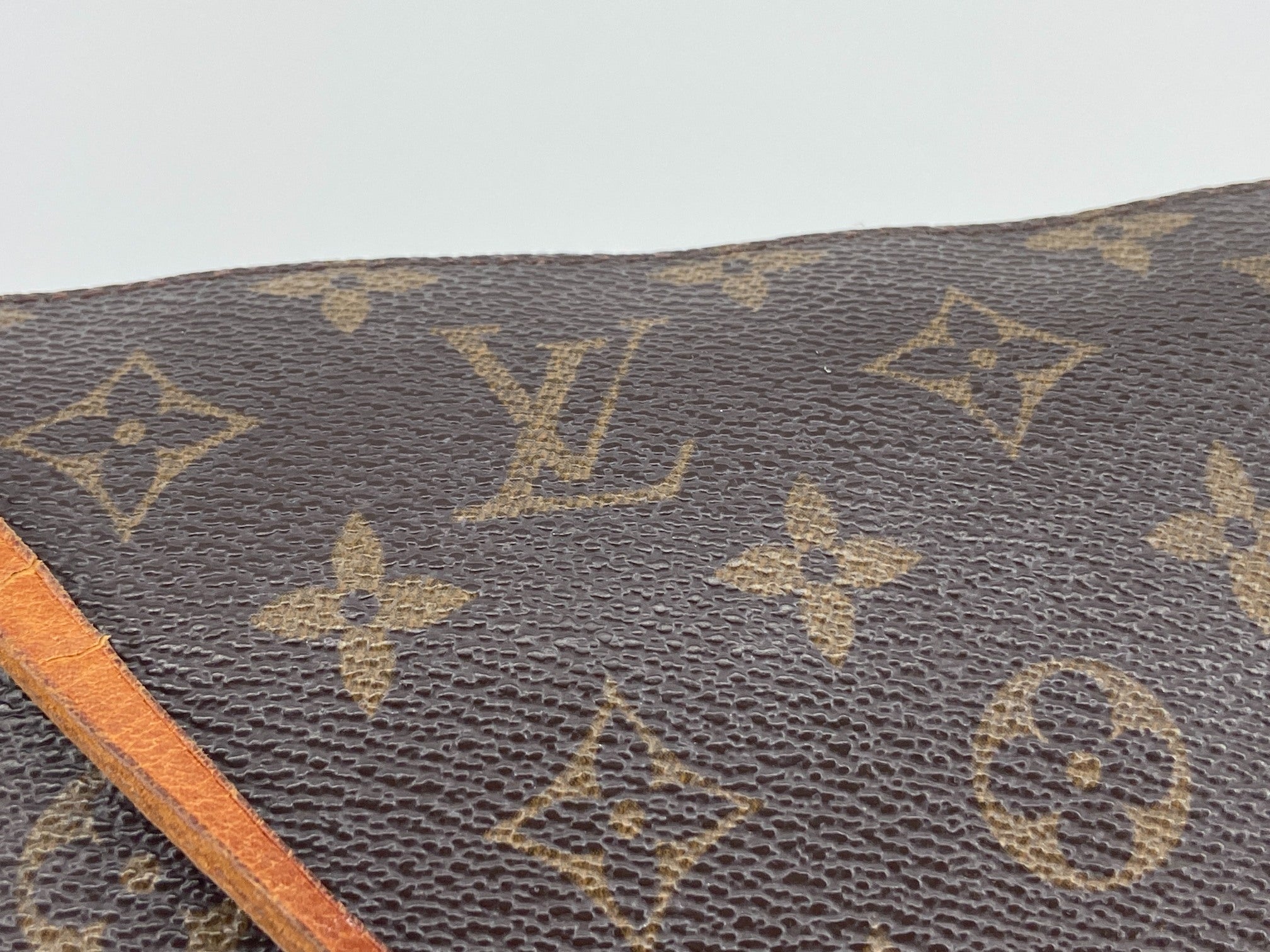 Louis Vuitton Pochette Accessoires Monogram Canvas