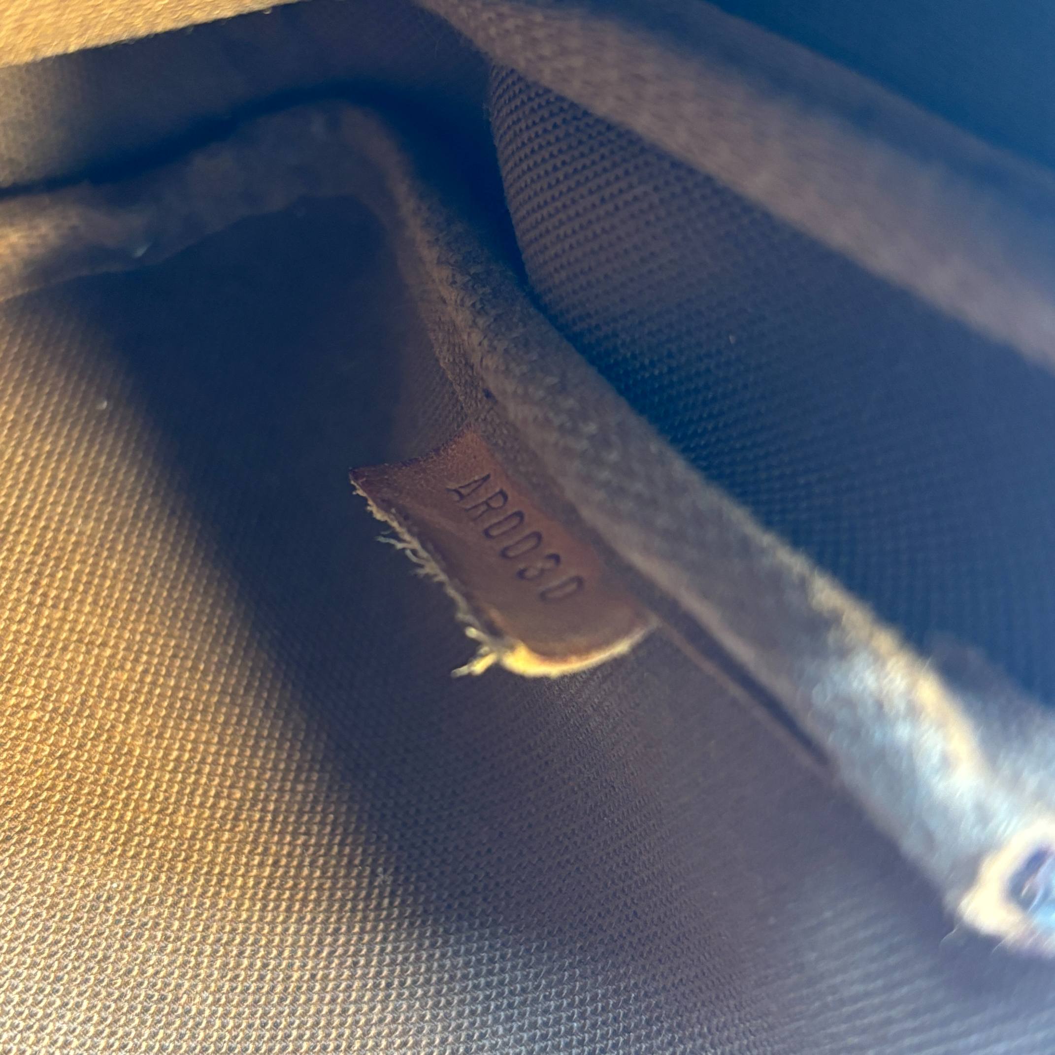 Louis Vuitton Pochette Accessoires Monogram Canvas