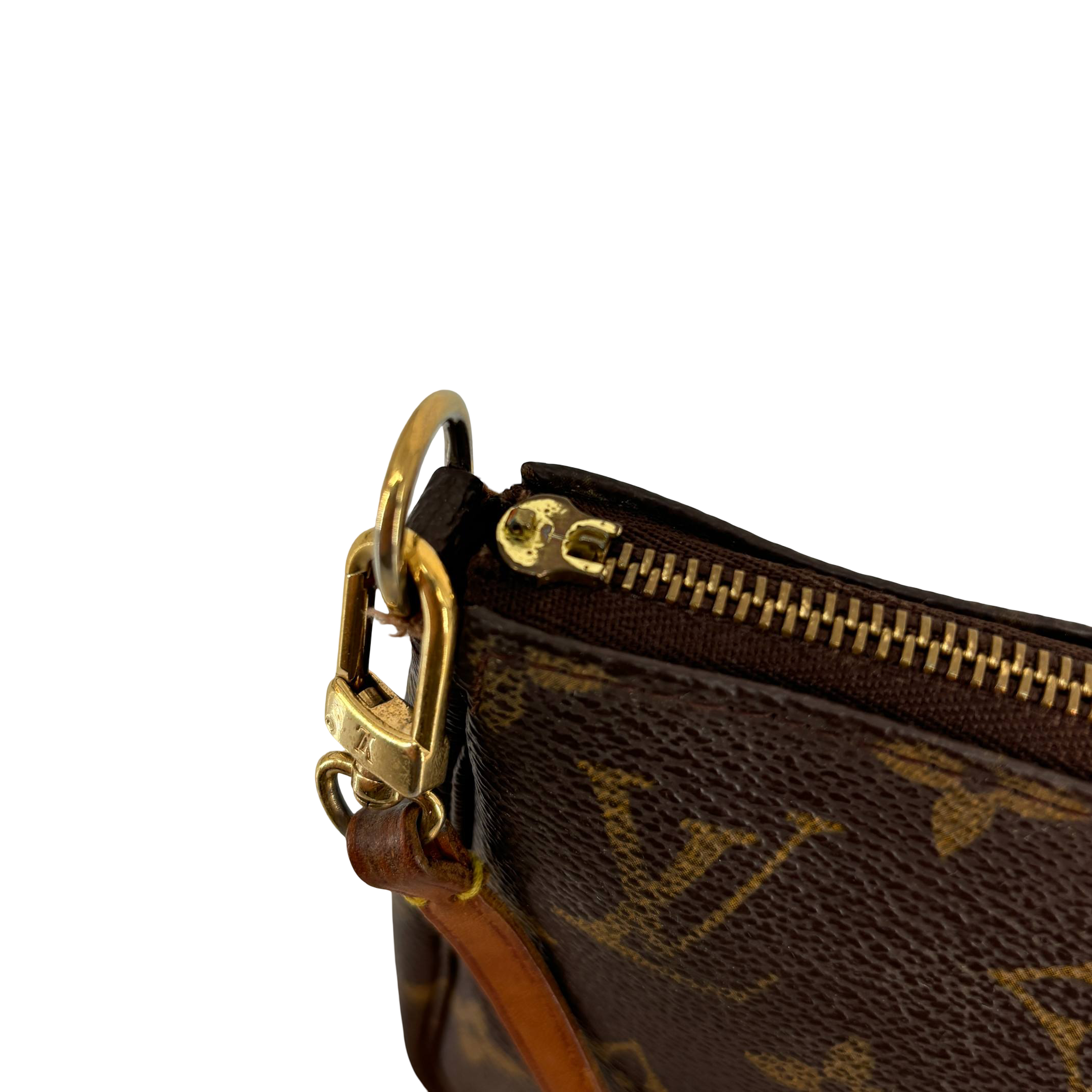 Louis Vuitton Pochette Accessoires Monogram Canvas
