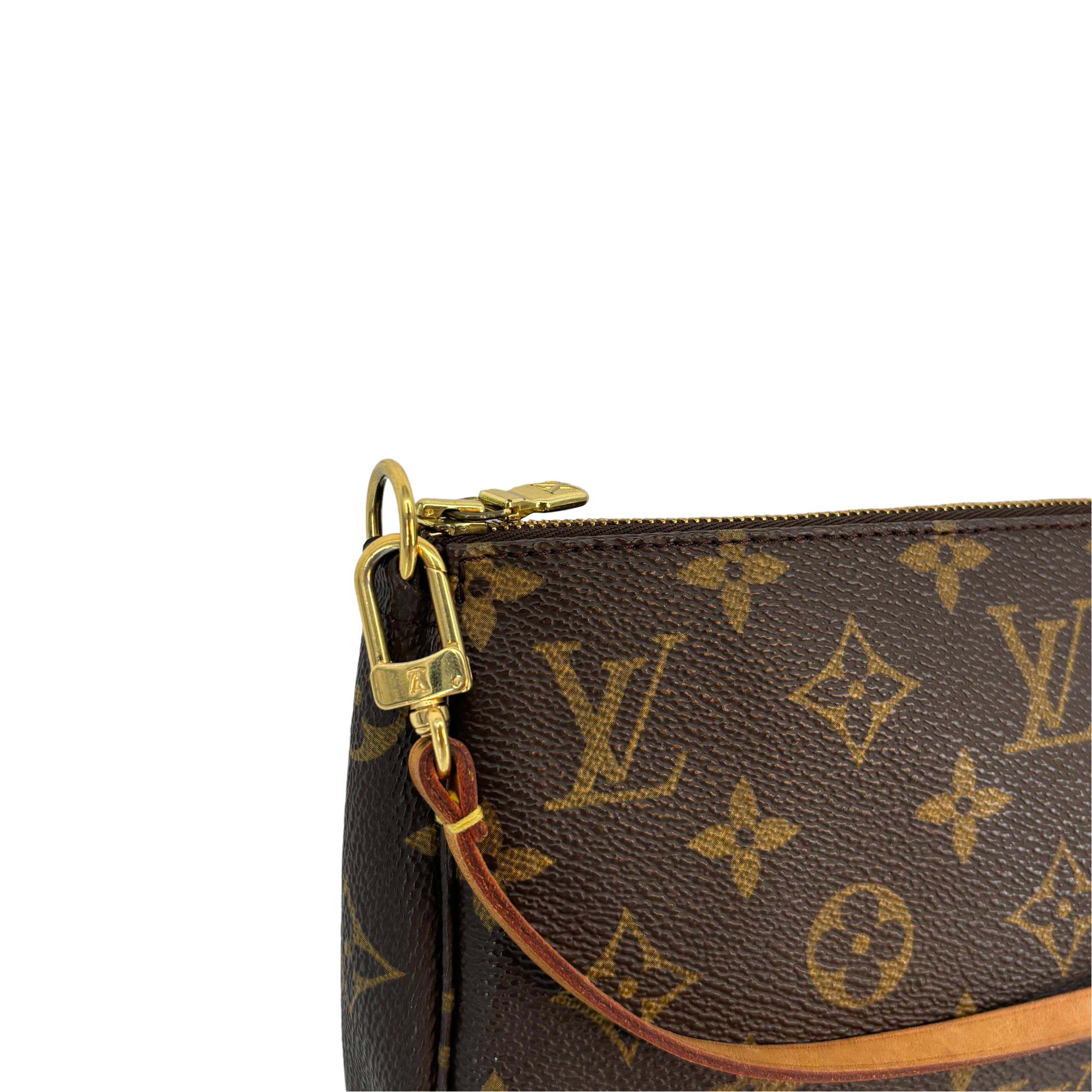 Louis Vuitton Pochette Accessoires Monogram Canvas