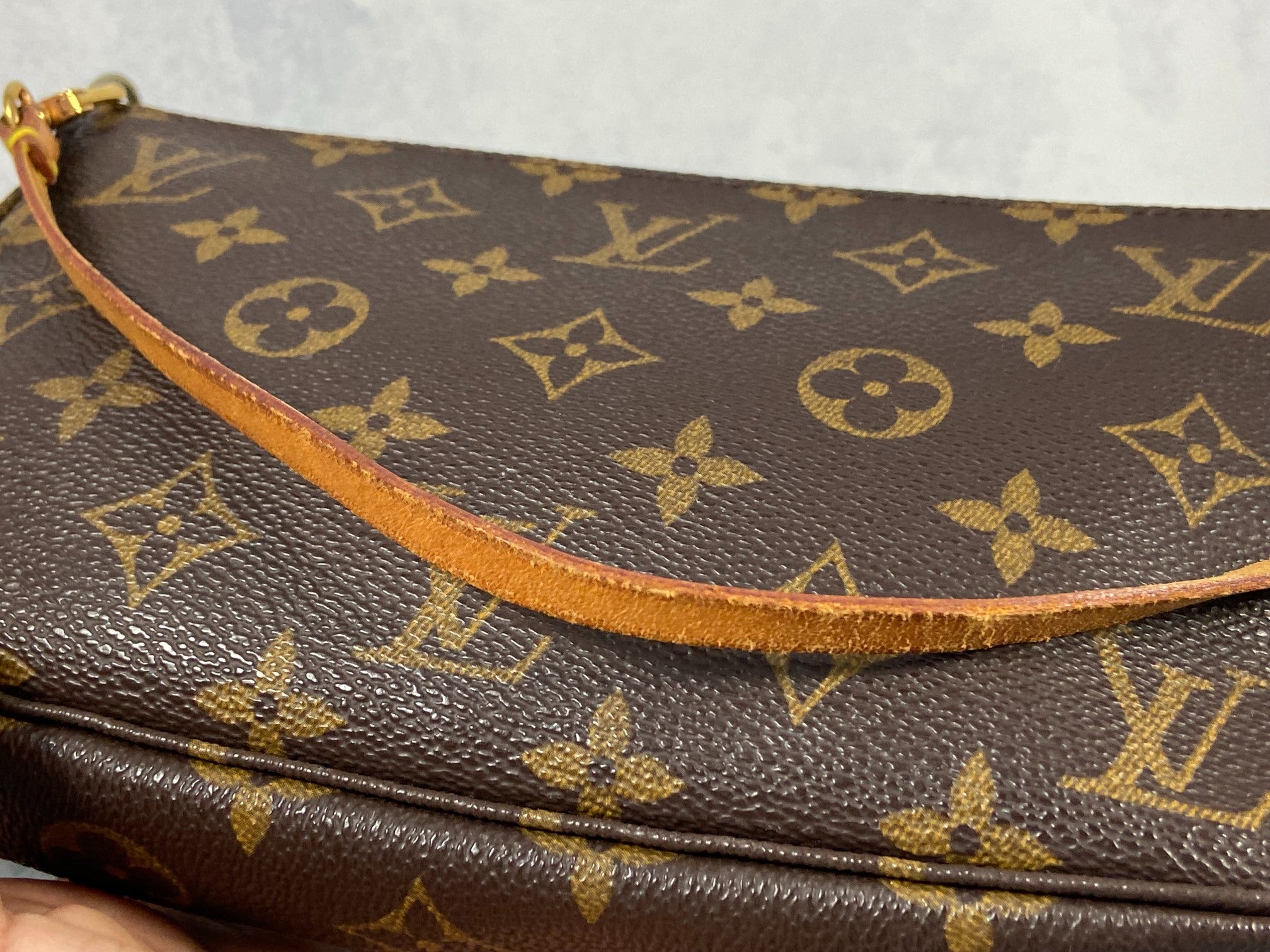 Louis Vuitton Pochette Accessoires Monogram Canvas