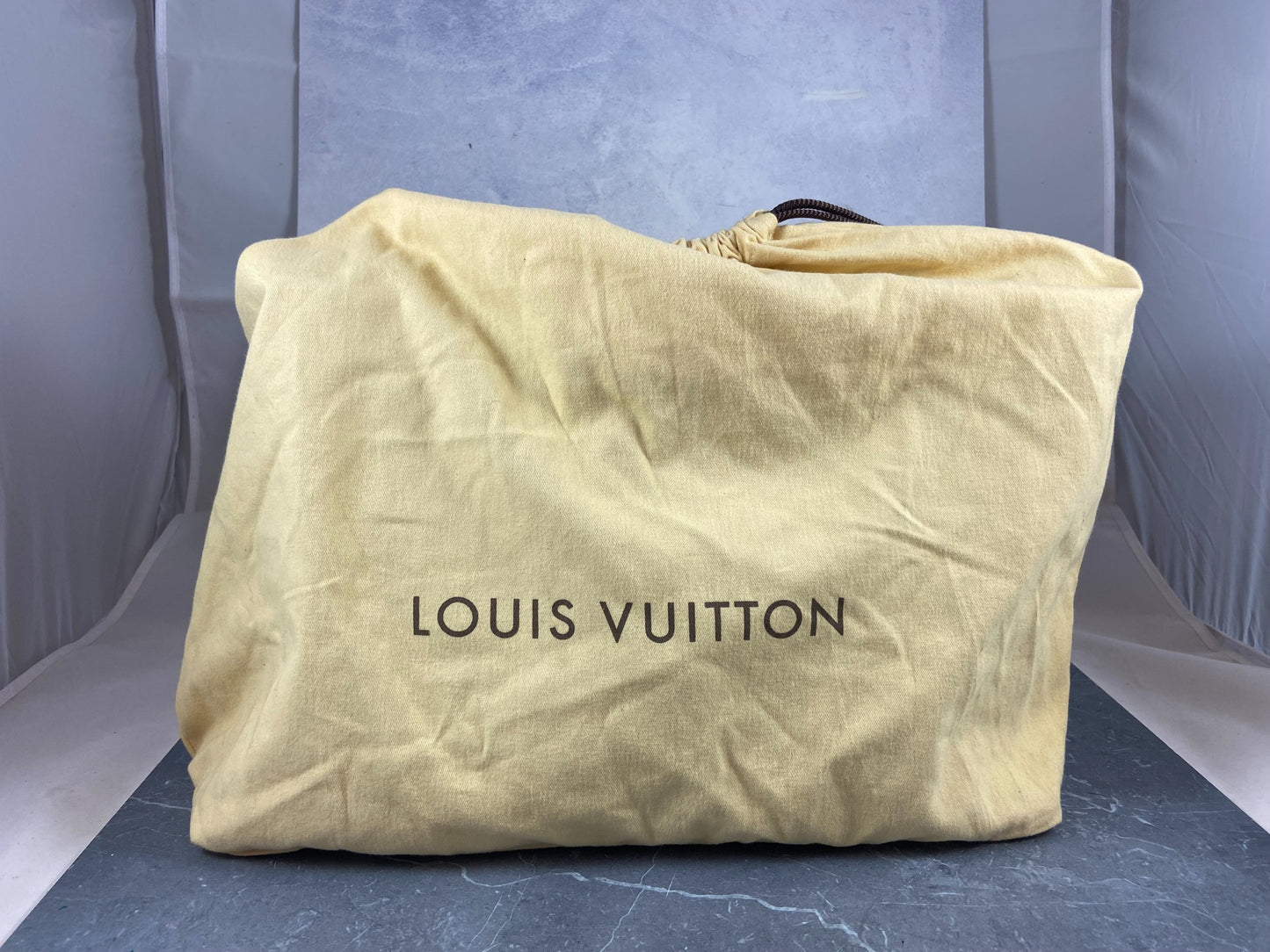 Louis Vuitton Neverfull MM Damier Ebene Canvas