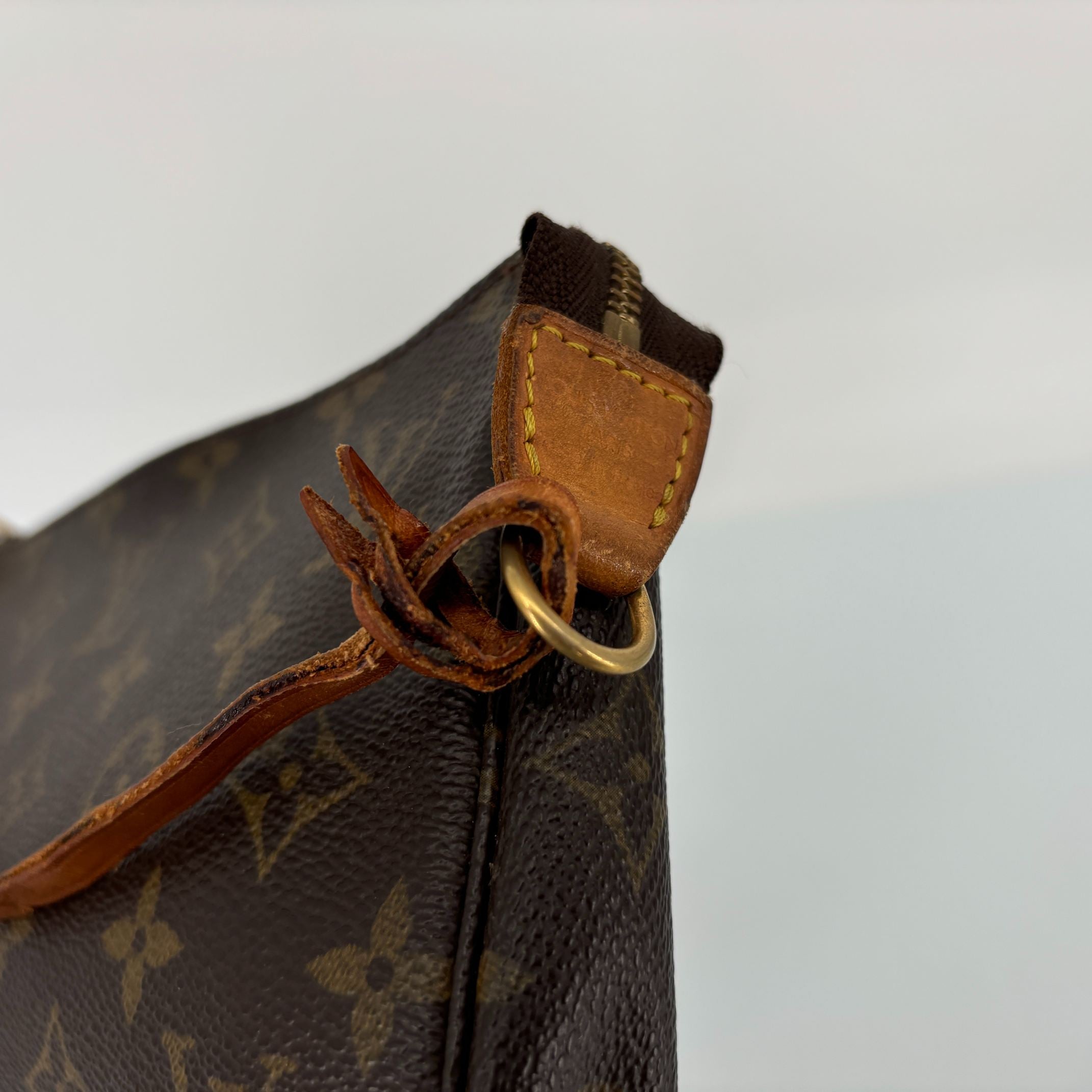 Louis Vuitton Pochette Accessoires Monogram Canvas incl. Dustbag