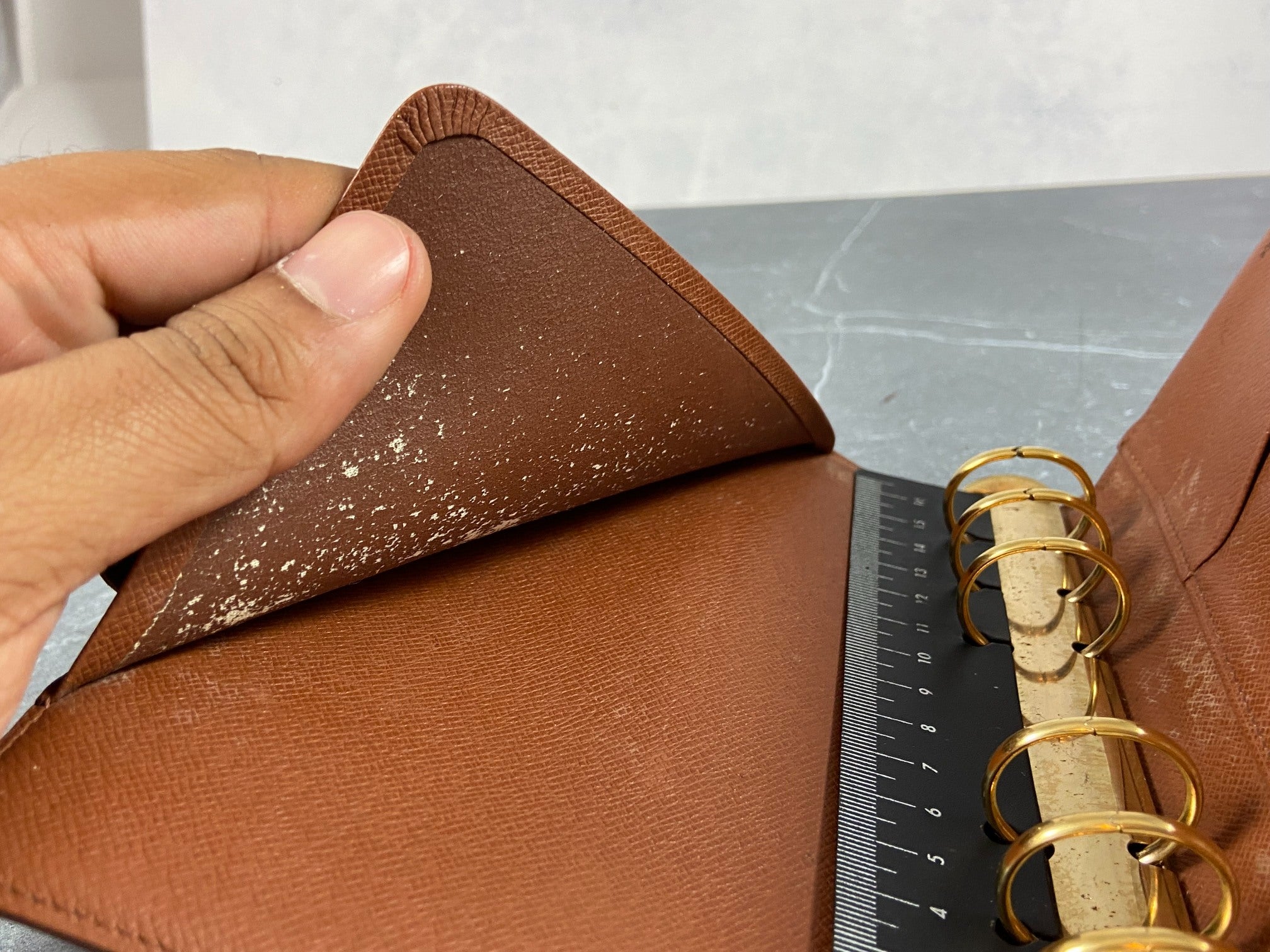 Louis Vuitton Agenda Functional MM Monogram Canvas