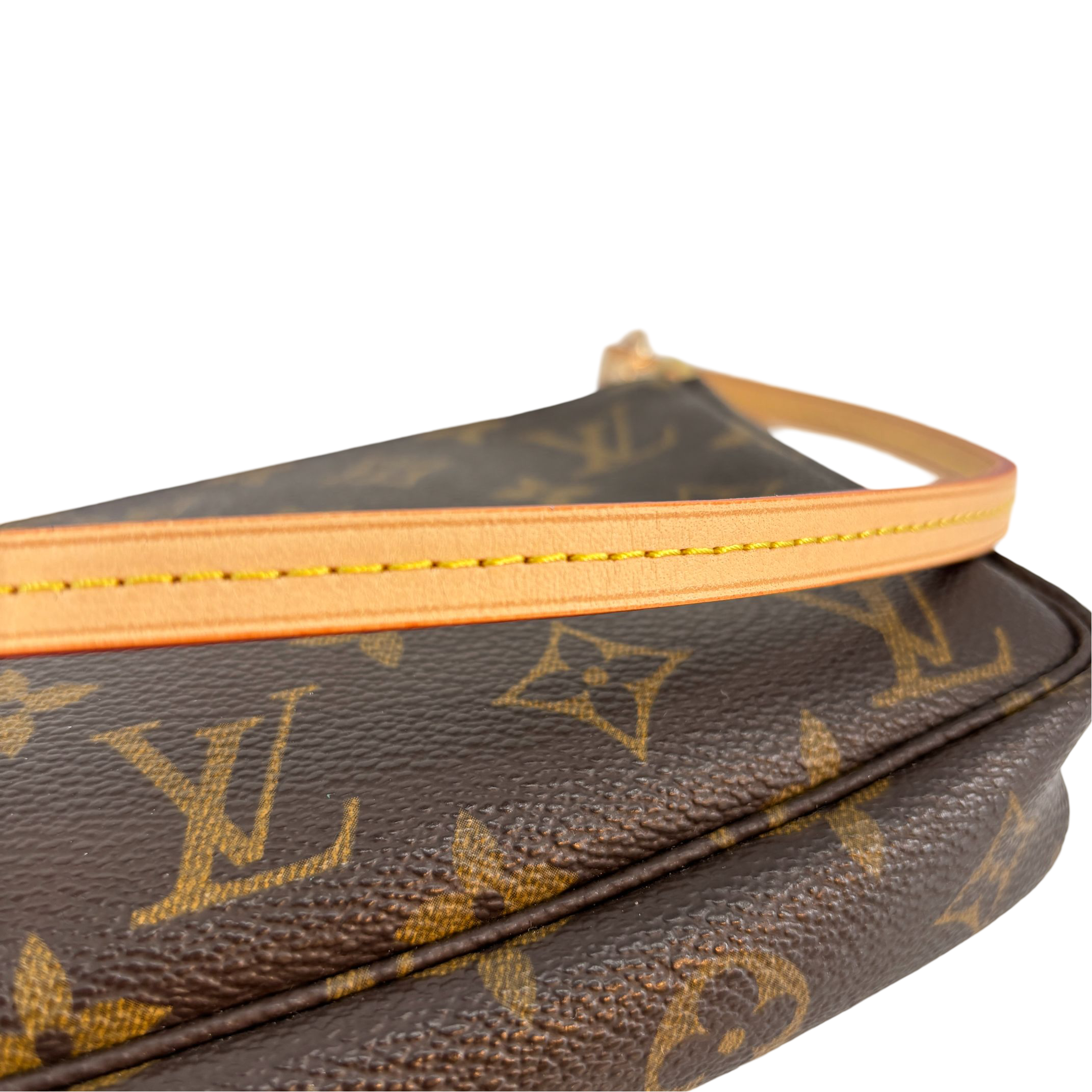 Louis Vuitton Pochette Accessoires Monogram Canvas