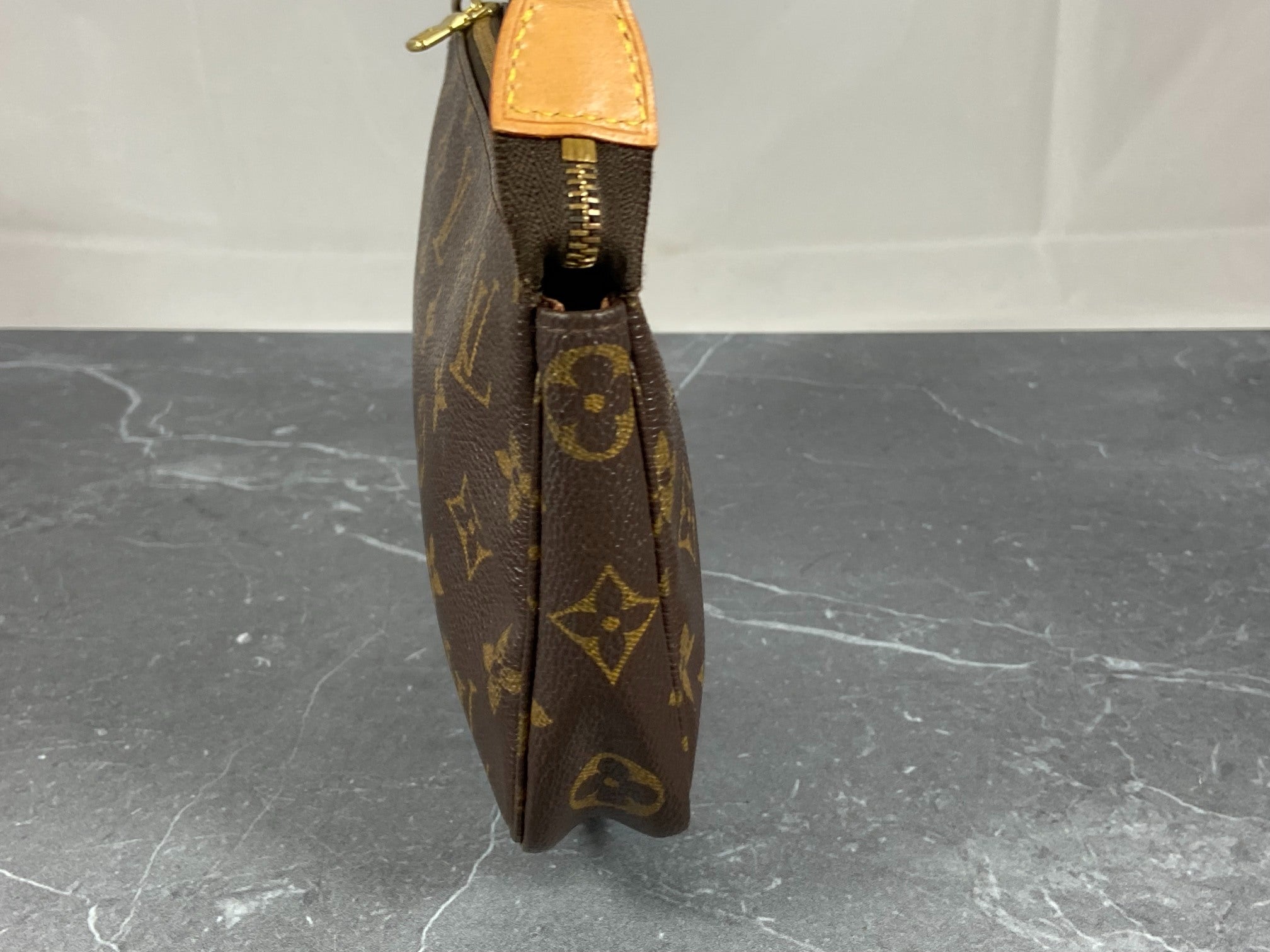 Louis Vuitton Pochette Accessoires Monogram Canvas